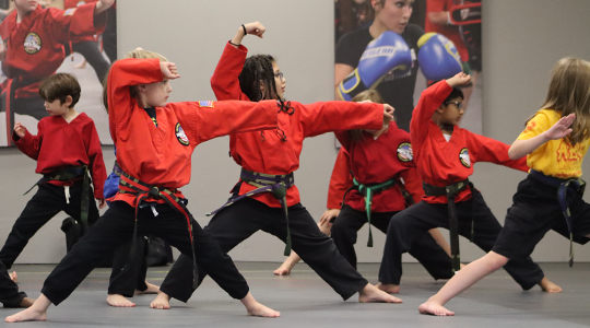 Kids martial arts students demonstrating their forms