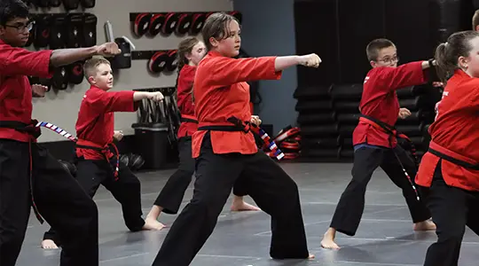 Youth martial artists practicing forms