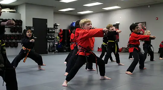 Kids Performing Martial Arts Routine